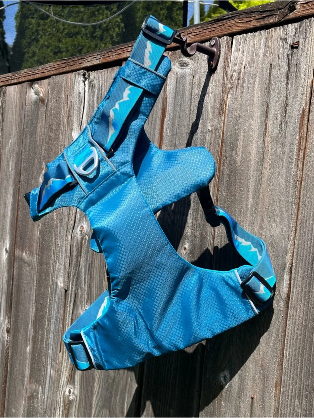 Lightweight teal outdoor Arcadia trail harness
